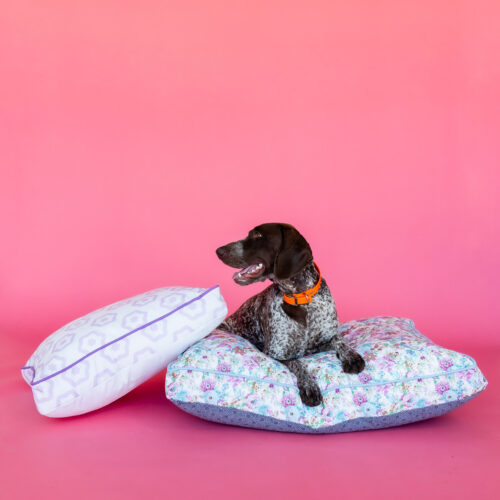Build Your Own - Dog Bed